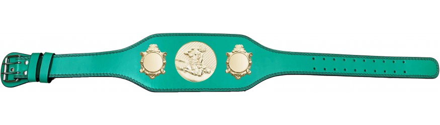 MMA CHAMPIONSHIP BELT-BUD003/G/MMAG-4 COLOURS